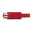 Tulp (w) Audio/Video Stecker - Kunststoff / Rot