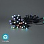 Nedis SmartLife Wi-Fi LED-Dekolichterkette - 10,8m - 48 LEDs / Vollfarbe