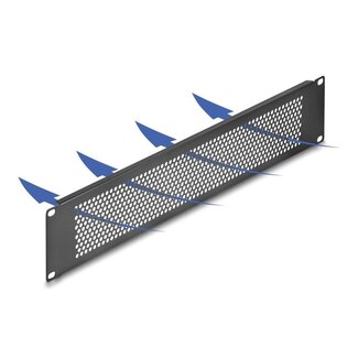 DeLOCK 19 Zoll Lüftungspanel | Rundlöcher | 2U | Schwarz