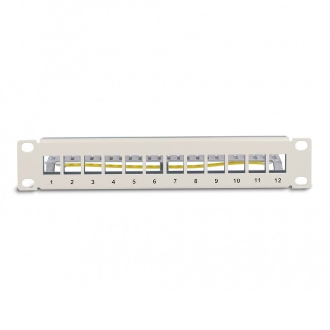 Delock 10 Zoll Patchpanel mit Kabelmanagement | für 12 Keystone Module | 1U | Grau