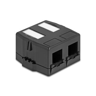 DeLOCK Ausgangsbox mit magnetischem Boden | für 2 Keystone-Module | schwarz