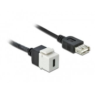 DeLOCK USB-C Keystone Modul - USB-A (v) | USB 2.0 | Weiß | 0,25 Meter