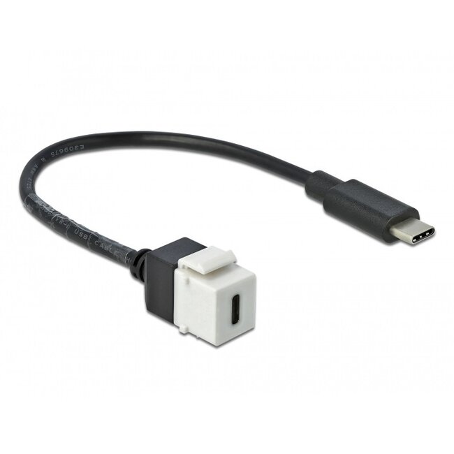 USB-C Keystone Modul - USB-C (m) | USB3.0 5 Gbps | Weiß | 0,25 m