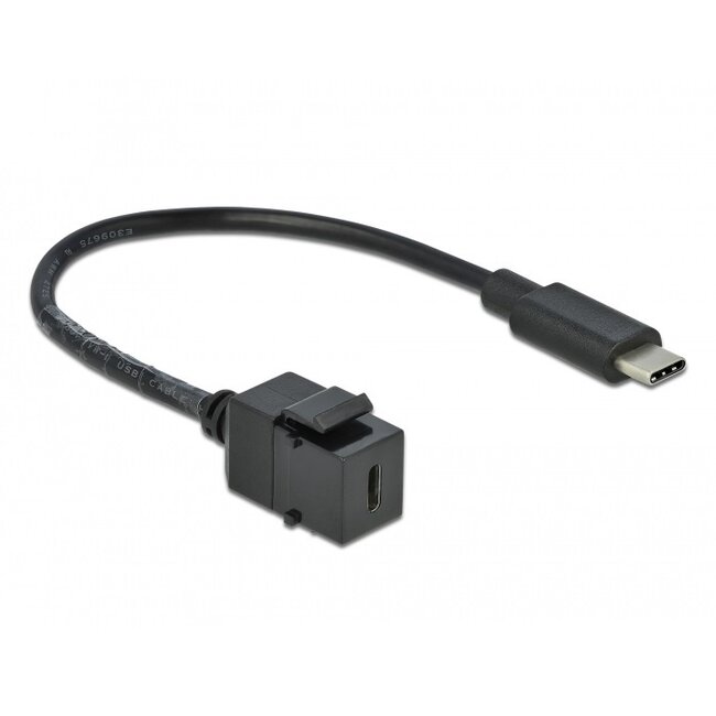 USB-C Keystone Modul - USB-C (m) | USB 3.0 5 Gbps | Schwarz | 0,25 m