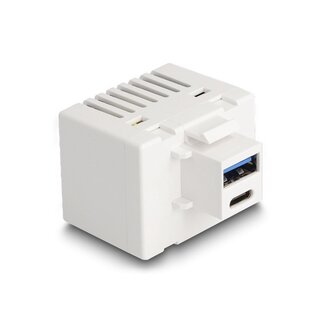 DeLOCK USB-C + USB-A Keystone USB-Lademodul 20W Weiß