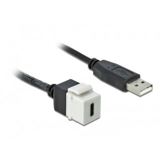 DeLOCK USB-C Keystone Modul - USB-A (m) | USB 2.0 | Weiß | 0,25 m