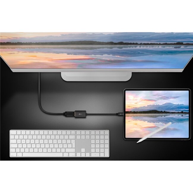 Goobay USB-C auf DisplayPort 4K 60Hz Adapter | Schwarz | 0,20 m