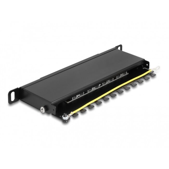 Delock 10 Zoll Patchpanel | 8x RJ45 | CAT6a | STP | 0,5U | Schwarz