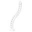 My Wall flexible Kabelwanne für Schreibtisch | Schraubbefestigung | 73 cm | Weiß