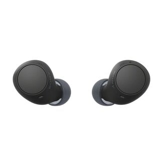 Sony Sony In-Ear Kopfhörer mit Mikrofon | TWS | Bluetooth | Schwarz