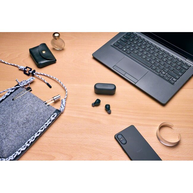 Sony In-Ear Kopfhörer mit Mikrofon | TWS | Bluetooth | Schwarz