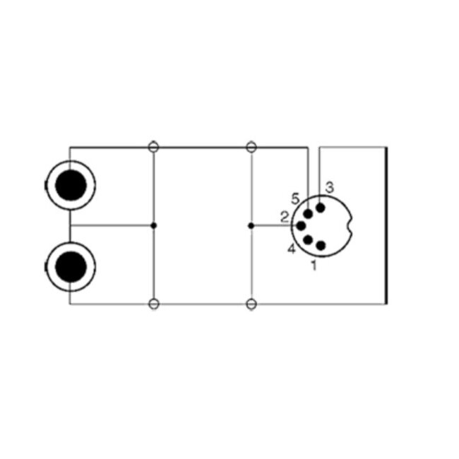 DIN 5-polig - Stereo Cinch Kabel (Wiedergabe) | Schwarz | 1 Meter