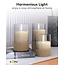 Goobay LED-Glaskerzen Set | 3 Stück | Timerfunktion | Braun | IP20