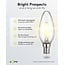 Goobay LED-Glühfadenlampe | Warmweiß | E14 | C35 | 4W