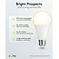 Goobay LED-Lampe | Warmweiß | E27 | A60 | 15W