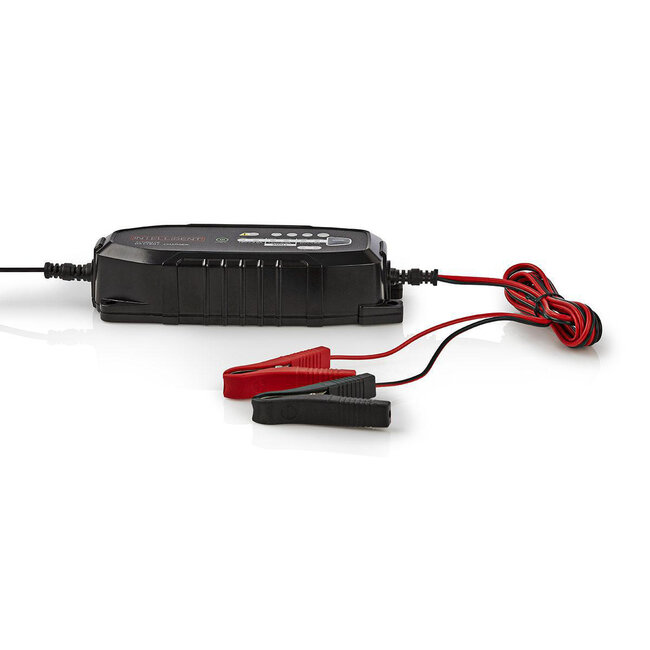 Nedis Intelligentes Bleiakku-Ladegerät | 6V/12V