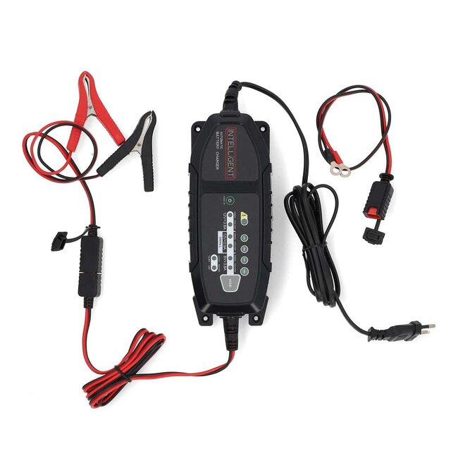 Nedis Intelligentes Bleiakku-Ladegerät | 6V/12V