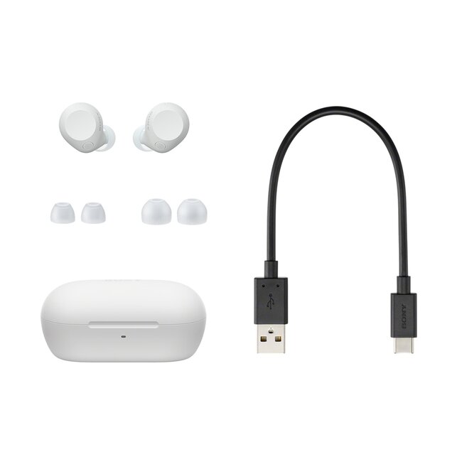 Sony In-Ear Kopfhörer mit Mikrofon | Noise Cancelling | TWS | Bluetooth | Weiß