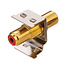 ROLINE RCA Keystone-Buchse, Metall, Rot