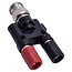 BNC (m) auf 2x Bananenstecker (w) Adapter | 50 Ohm