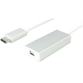 Dolphix USB-C auf Mini DisplayPort Adapter (4K 60 Hz) / Weiß - 0,10 m
