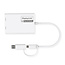 ROLINE Multi-DisplayLink Adapter USB Typ A+C – 2x DP, 4K