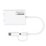 ROLINE Multi-DisplayLink Adapter USB Typ A+C – 2x HDMI, Multi-Stream 4K