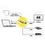 Roline Gold USB-C auf HDMI 4K 30Hz, USB-A & USB-C PD 60W | 0,10 m