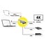 Roline Gold USB-C auf HDMI 4K 30Hz, USB-A & USB-C PD 60W | 0,10 m