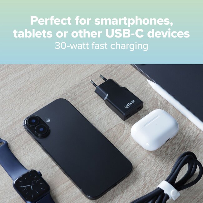 InLine USB-Ladegerät | 2x USB-C PD | GaN | 30W | Schwarz