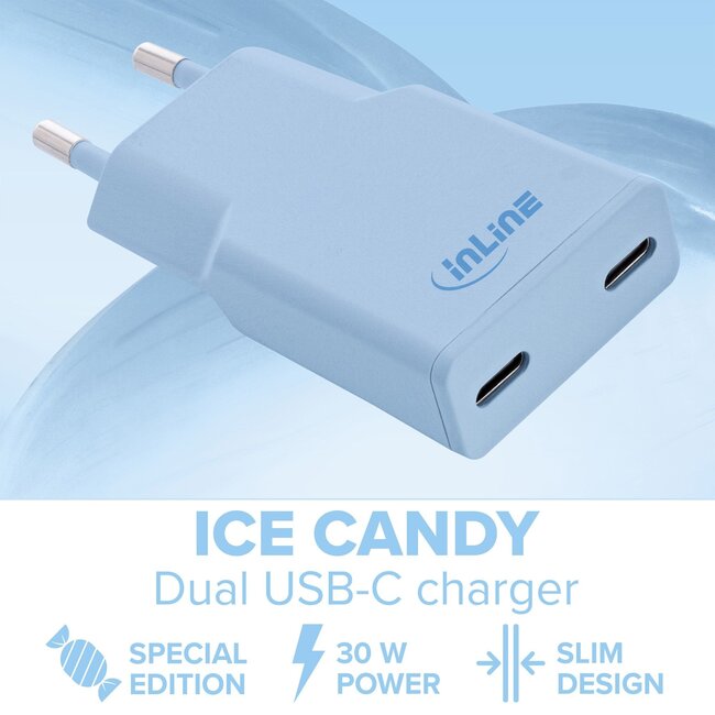 InLine USB-Ladegerät | 2x USB-C PD | GaN | 30W | Blau