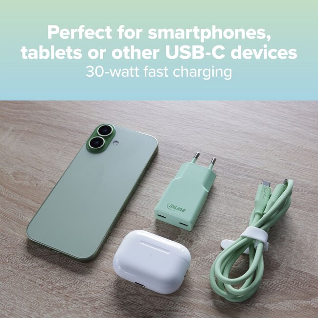 InLine USB-Ladegerät | 2x USB-C PD | GaN | 30W | Grün