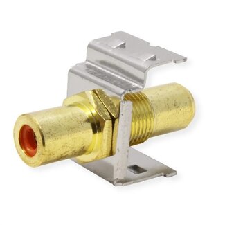 Roline Tulpe Keystone Modul - Tulpe (v) | Audio rechts (rot) | vergoldet | Metall