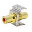 Tulpe Keystone Modul - Tulpe (v) | Audio rechts (rot) | vergoldet | Metall