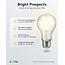 Goobay LED-Glühfadenlampe | Warmweiß | E27 | A60 | 4W