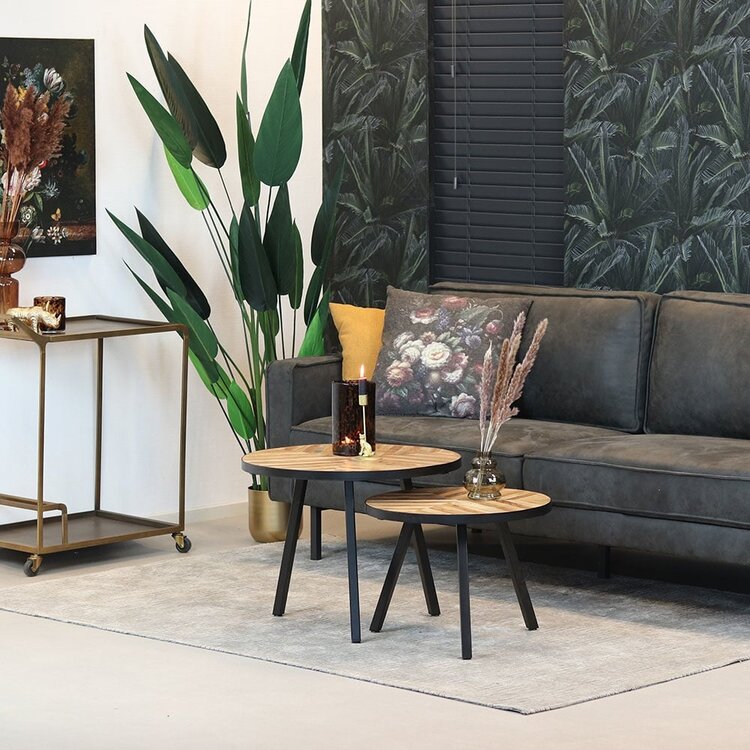 Industriële salontafel set Bronco mangohout (2 stuks)