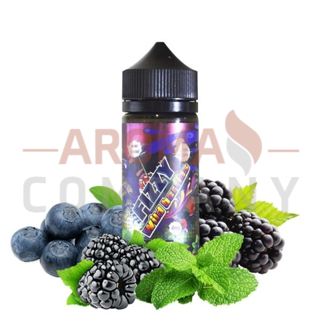 Fizzy - Wild Berries 100ml