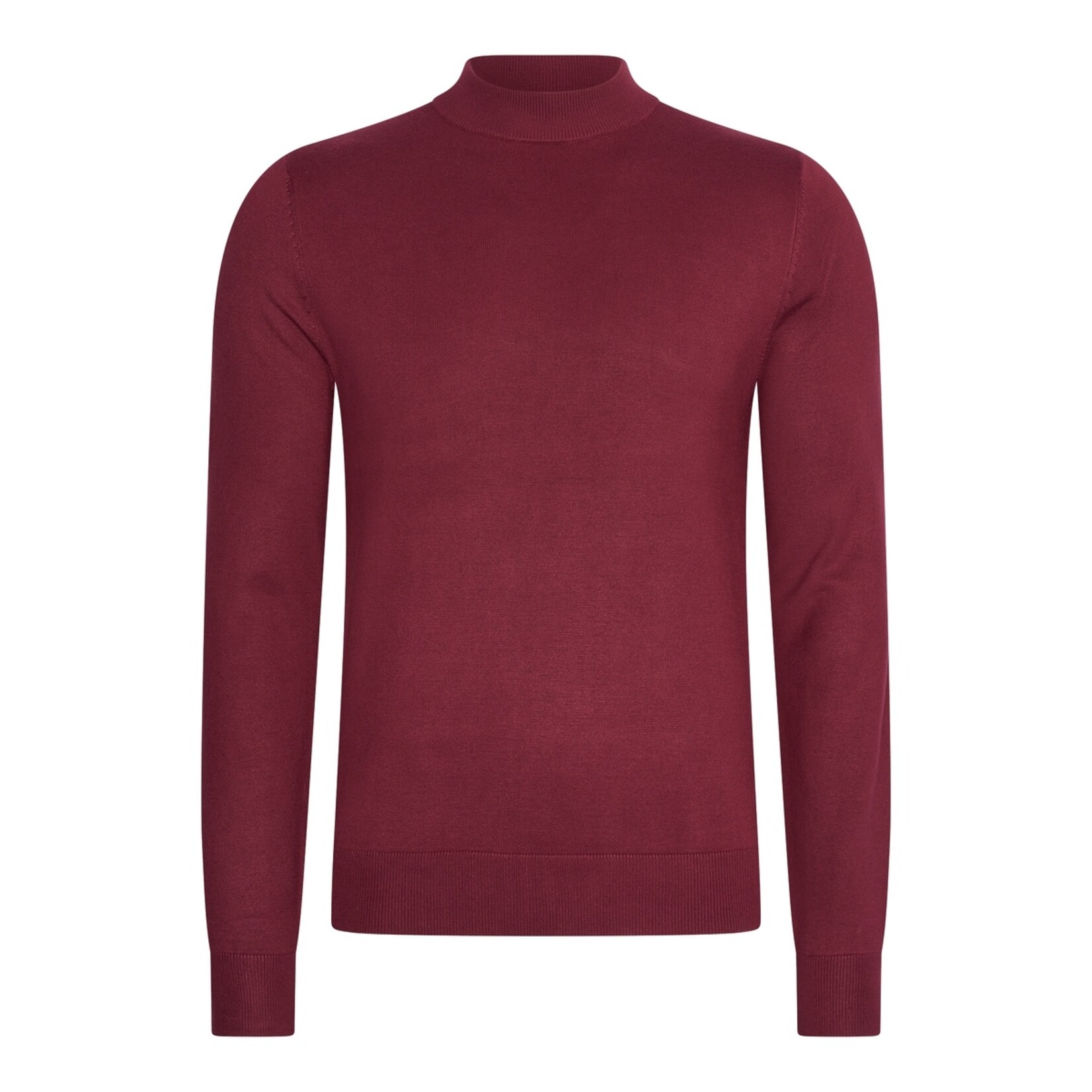 Mario Russo Mario Russo Turtle Neck Coltrui met Stretch