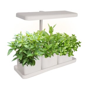 SPR SPR Kweekstation met LED Groeilamp en Timer