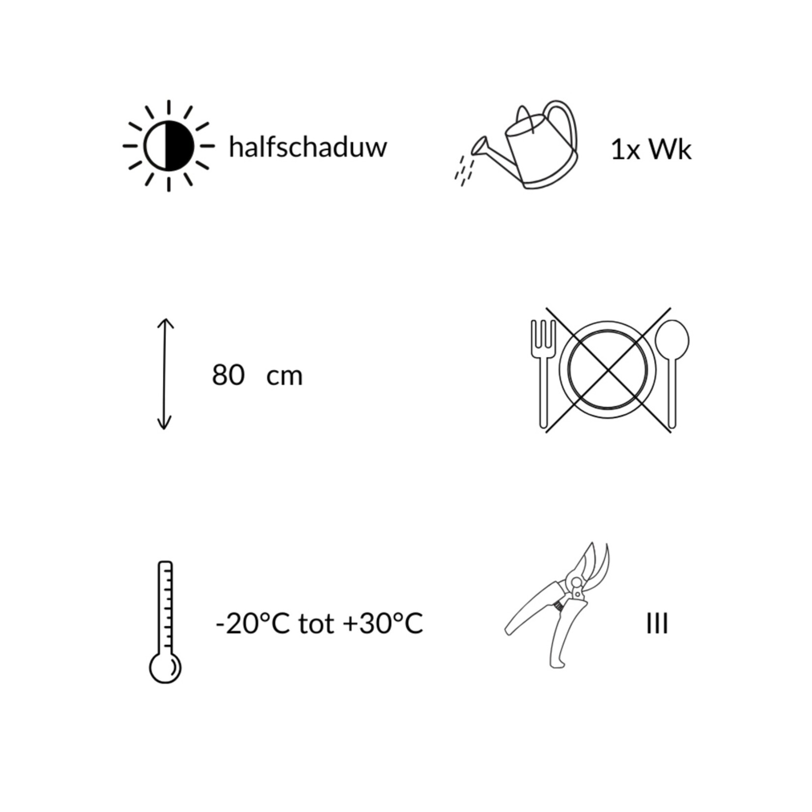 NatureNest Borderpakket Isa - Vaste Borderplantenmix - Kleurrijke Tuinborder