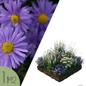 NatureNest Borderpakket Yara - Vaste Borderplanten Mix