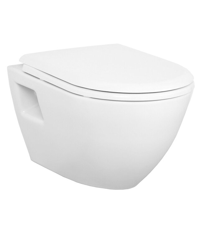 Design ophang Wc met Bidet Wit