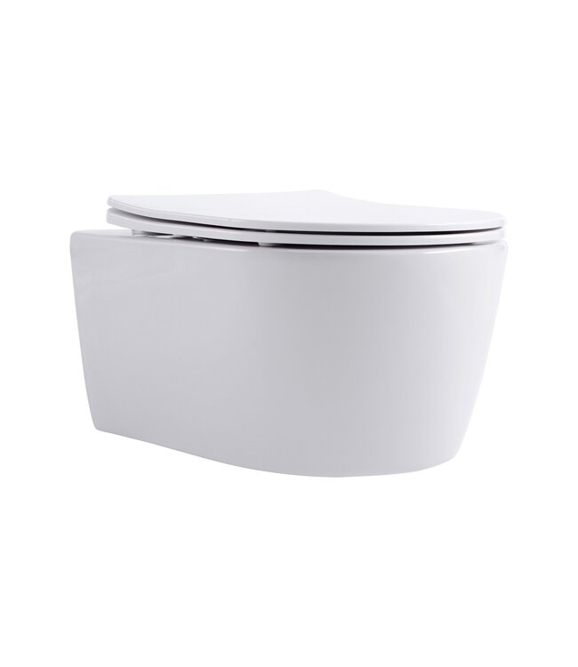 Pro pack wc kit - randloos Wc + Softclose zitting  Mat Wit