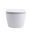 Pro pack wc kit - randloos Wc + Softclose zitting  Mat Wit