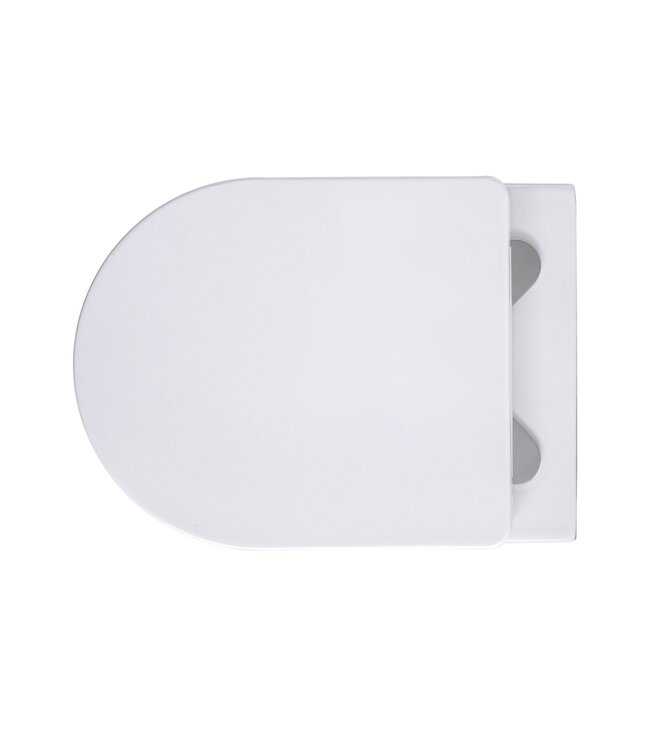 Pro pack wc kit - randloos Wc + Softclose zitting  Mat Wit