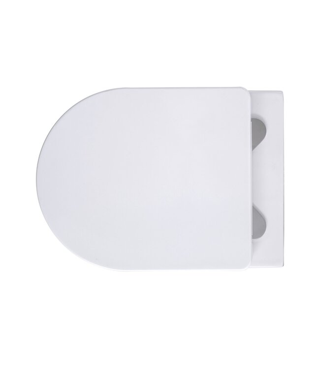 Pro pack Luxe  wc kit - randloos Wc + Softclose zitting Wit