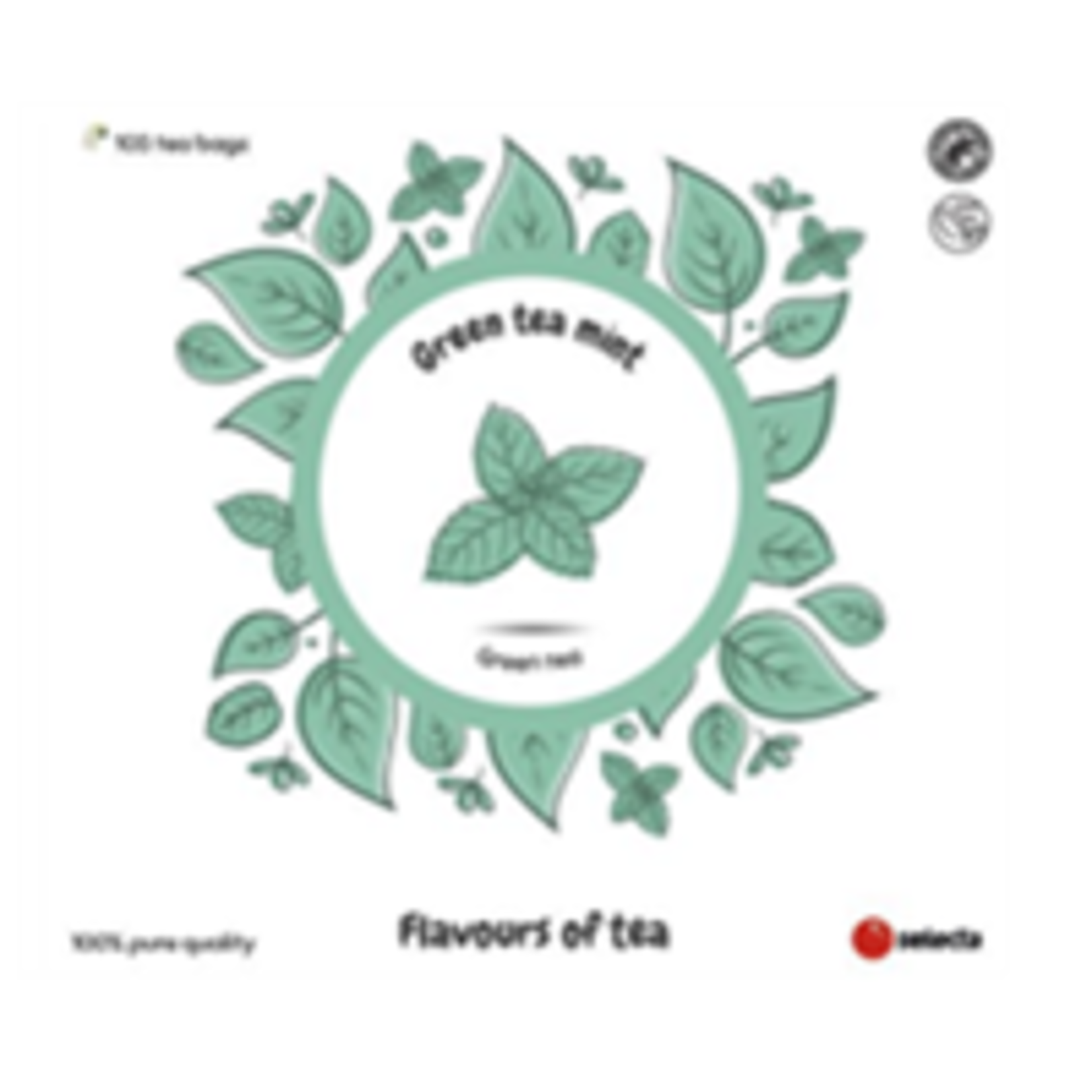 Moroccan Mint Tea 6x100 zakjes