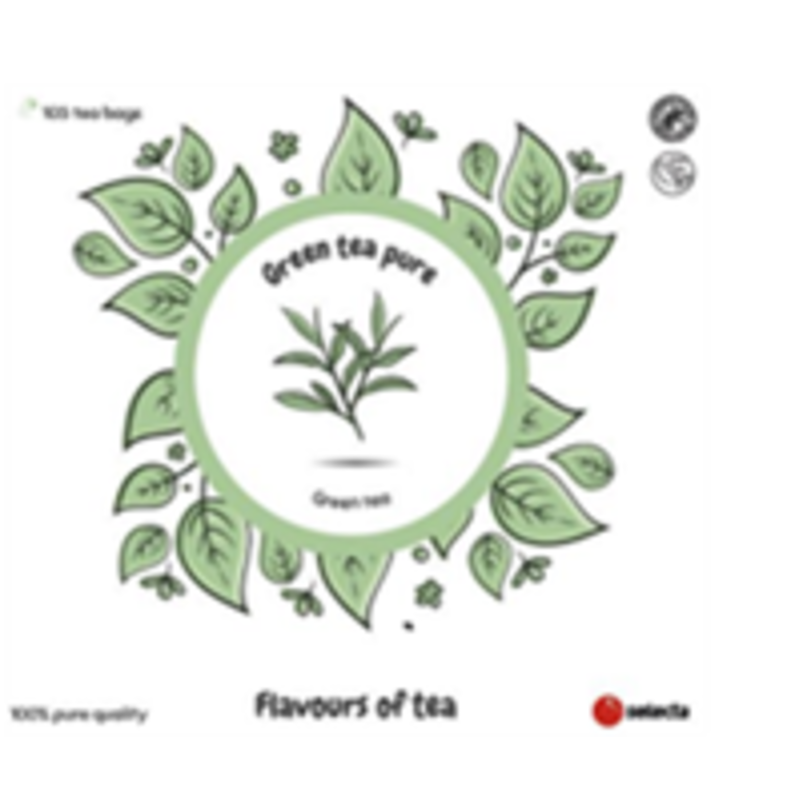 Green Tea 6 x100 zakjes