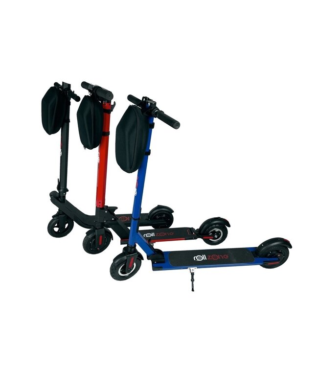 Bag for electric scooters