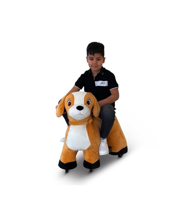 PetRide von ROLLZONE, elektrischer Fahrhund